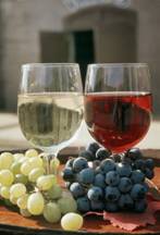 Экстракт виноградных косточек «Виноградная косточка»